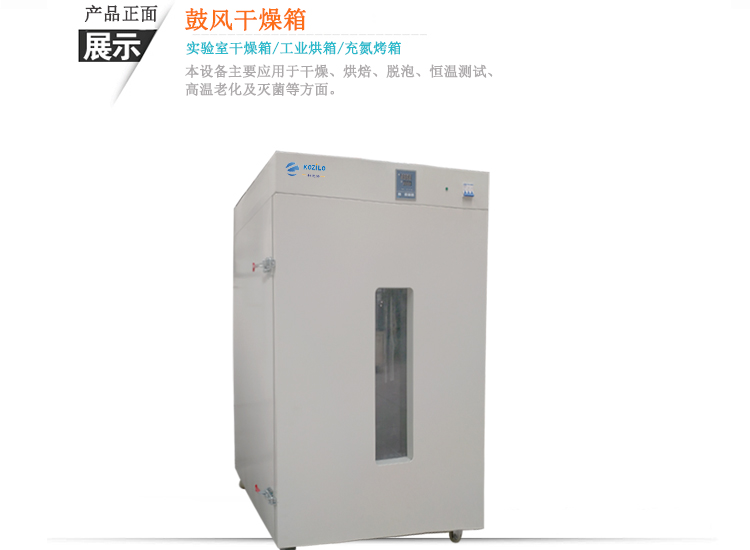 鼓风干燥箱 DHG-9920A